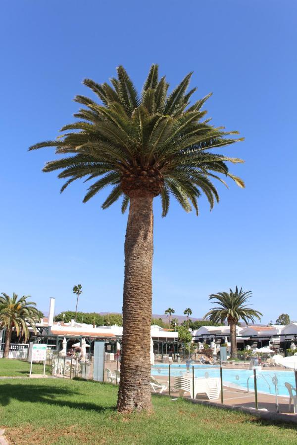 Marlenghi Apartments 70 Maspalomas  Zewnętrze zdjęcie